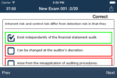 CPA Audit Exam Online Lite - náhled