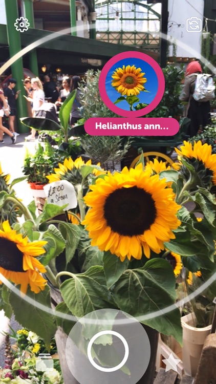 Blippar - The AR browser screenshot-4