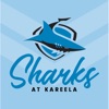 Sharks at Kareela