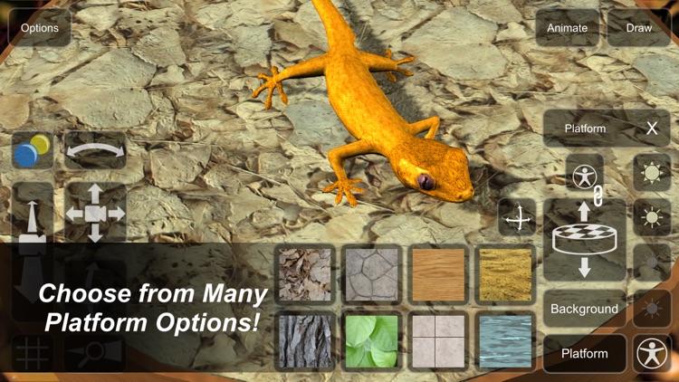 Gecko Mannequin screenshot-5