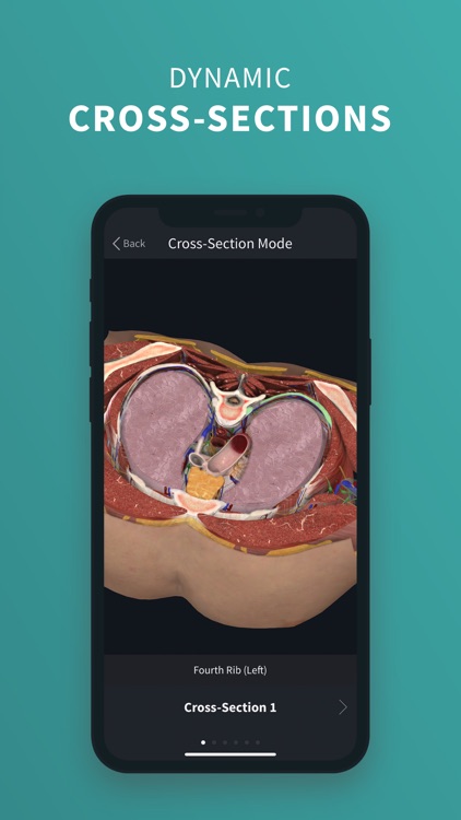 Complete Anatomy ‘22