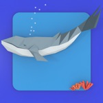 Fish Aquarie