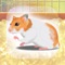 Icon Hamster Pet