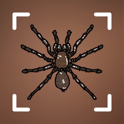 Get Spider identifier - Bug,insect for iOS, iPhone, iPad Aso Report