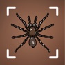 Get insekten bestimmen, Spider for iOS, iPhone, iPad Aso Report