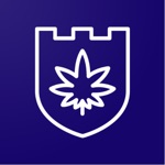 첩보 스탠다드