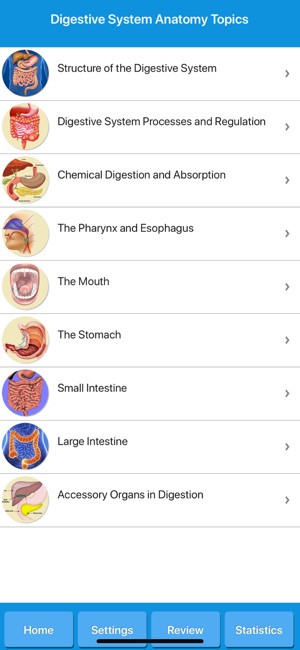 Human Digestive System Anatomy(圖4)-速報App