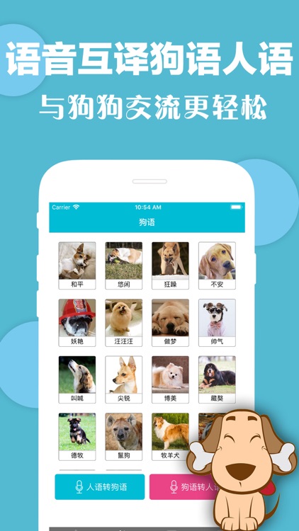 猫语狗语翻译-轻松与宠物交流