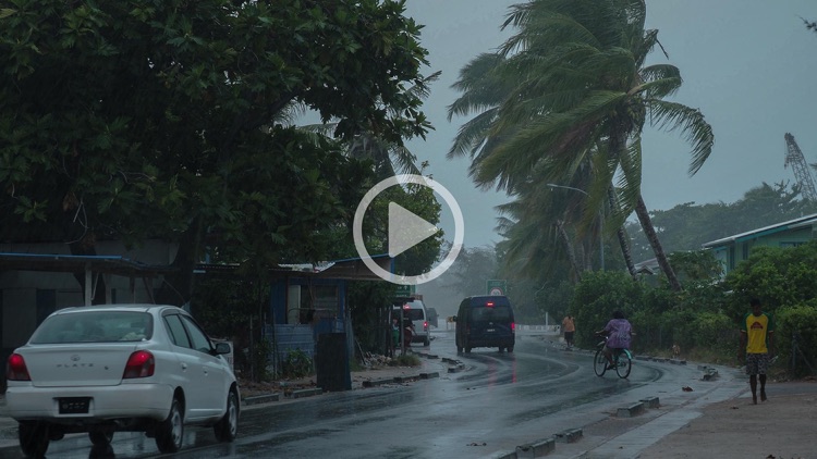 Losing Paradise screenshot-3