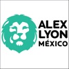 Lyon Mexico Bidding App