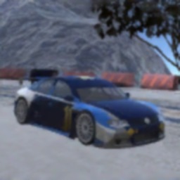 Real Race - Race Car 3D