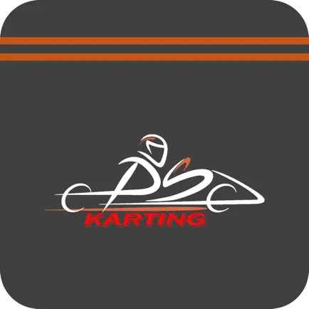 PitStop Karting Читы