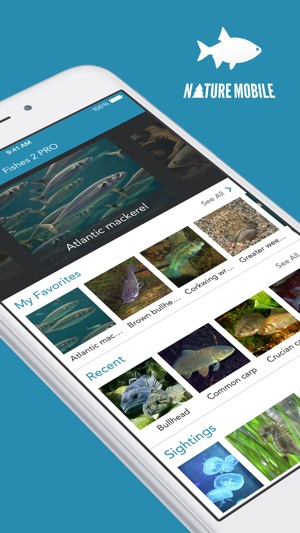 Fishes PRO - Field Guide(圖1)-速報App