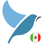 Bluebird Mexican Spanish