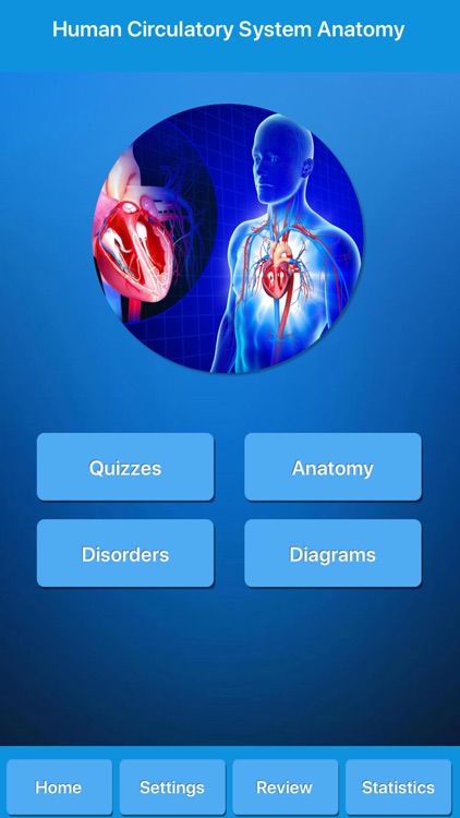 Circulatory System Anatomy