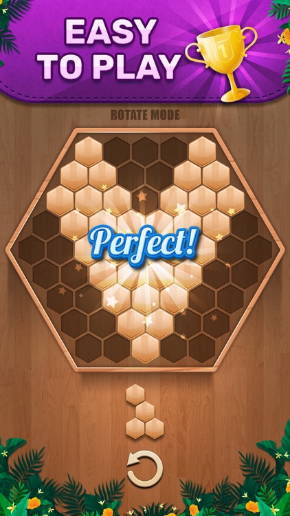 Wooden 100 Block - Hexa Puzzle screenshot-3
