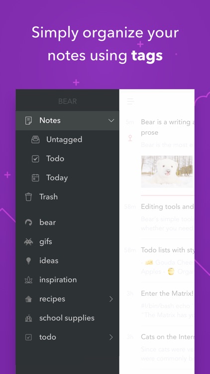 Bear