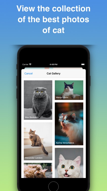 Cat Identifier - Kitty Scanner screenshot-9