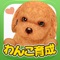 \わん!/=================