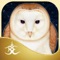 Reconnect with the Magic of the Universe, the best-selling deck is now available as an app