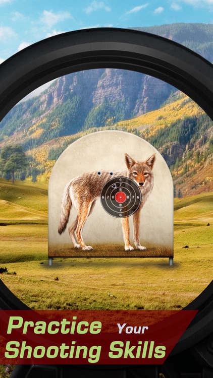 Coyote Target Shooting