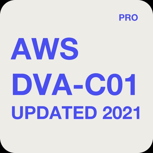 AWS Certified Developer - 2021 Icon