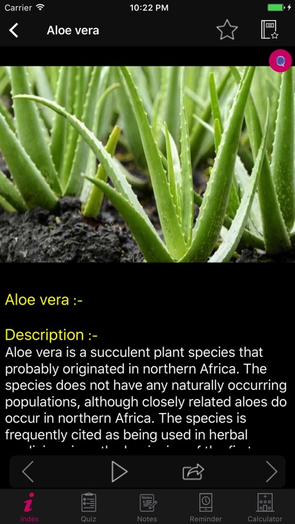 Natural Remedies Herbal