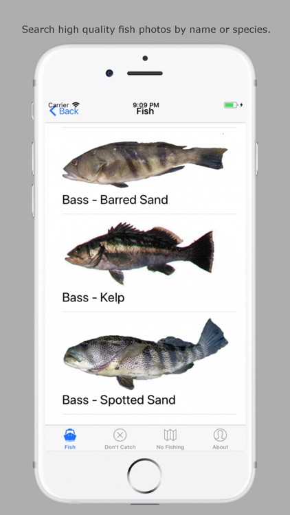 A California Fishing App