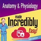 Anatomy & Physiology MIE NCLEX