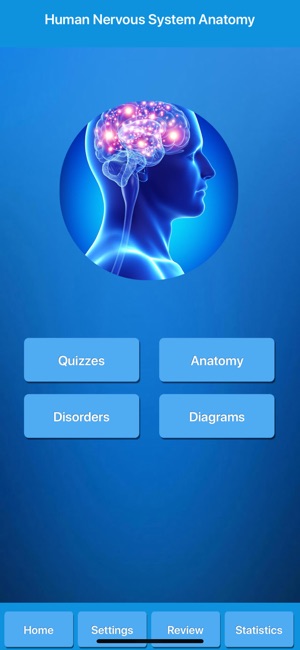 Human Nervous System Anatomy(圖1)-速報App