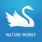 Finally, you have the option to identify species without the help of a heavy book