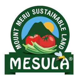 Mesula Food Grocery App