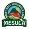 MESULA Ecommerce App platform for distribution of Safe and Nutritious Food in Arusha