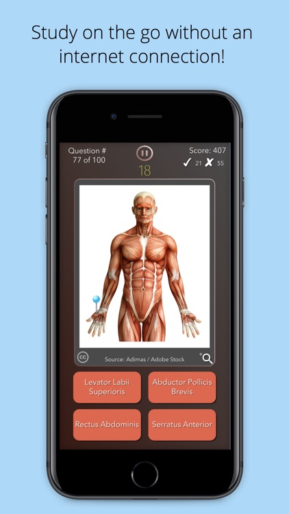 Anatomist – Anatomy Quiz Game