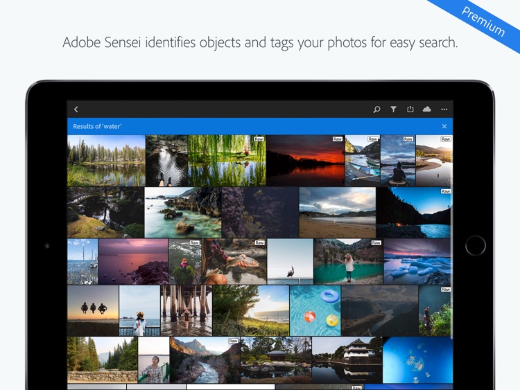 Adobe Lightroom CC for iPad screenshot-8
