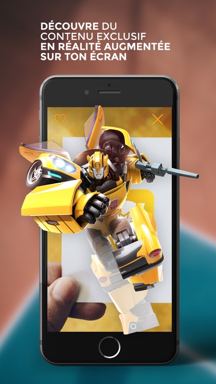 Bumblebee Experience