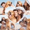 Photo Collage Maker is the best collage maker ever