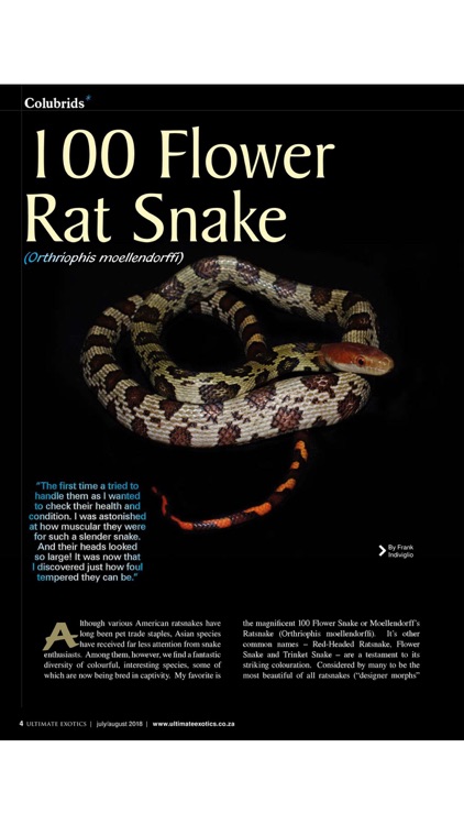 Ultimate Exotics Magazine
