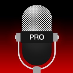 Voice Recorder - Audio Record app tips, tricks, cheats