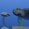 NCF Turtle VR