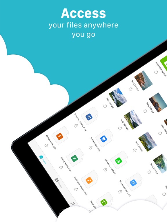 pCloud - Cloud Storage