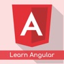 Get Learn Angular Offline for iOS, iPhone, iPad Aso Report
