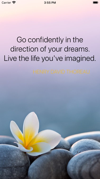 #Inspirational Quotes