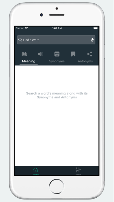 Thesaurus & Dictionary screenshot 3