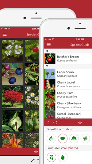 Wild Berries and Herbs 2 PRO(圖2)-速報App