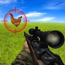 Bird Hunting Shooting Game