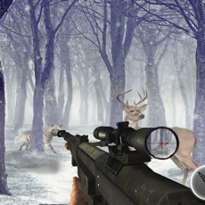 Activities of Animals Shooting Sniper