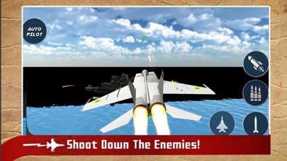 Real Jet Fighter: Sky Shooting screenshot 2