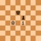 Icon Chess Endgame Trainer