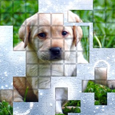 Activities of PicPu - Dog Picture Puzzle
